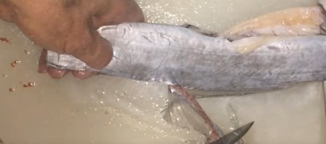 how-to-cut-hairtail-fish (1)